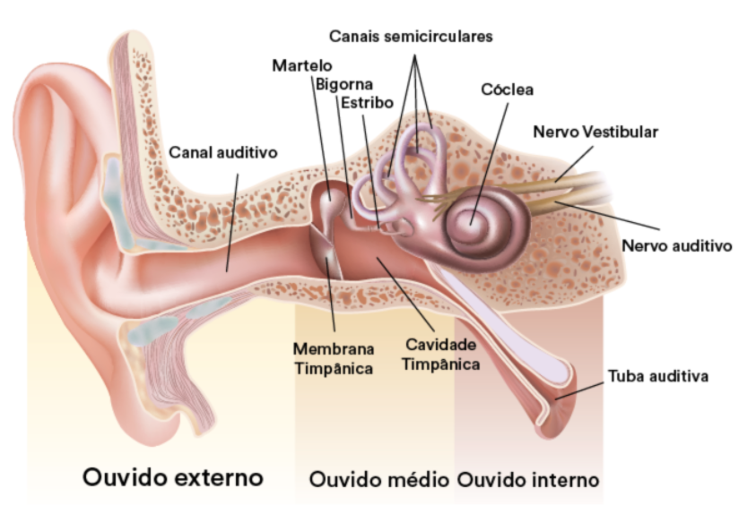 causas da perda auditiva